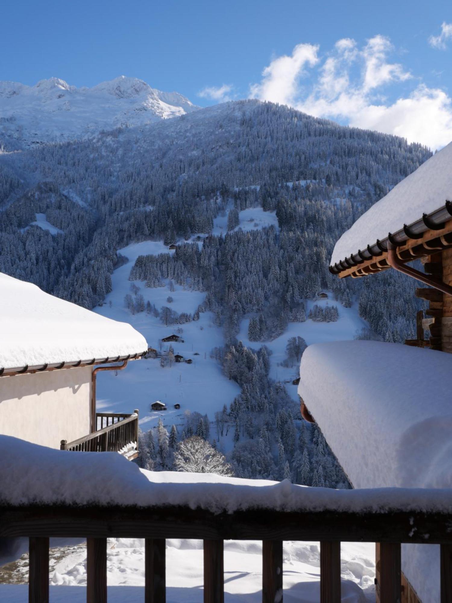 La Ferme D'Hauteluce - Chalets エクステリア 写真
